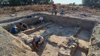 Yacimiento Belsinon Mallén Visita Guiada Al Yacimiento De Belsinon En Mallén Zaragozala   Qué Hacer En Zaragoza