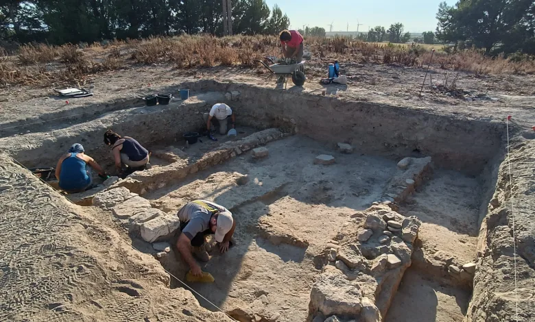 Yacimiento Belsinon Mallén Visita Guiada Al Yacimiento De Belsinon En Mallén Zaragozala Qué Hacer En Zaragoza