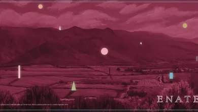  El Vino Que Celebra El 25º Aniversario Del Festival Del Vino Somontano Con Arte Y Memoria Zaragozala   Qué Hacer En Zaragoza