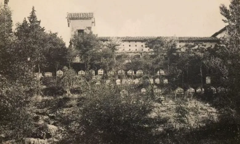 La Quinta Julieta