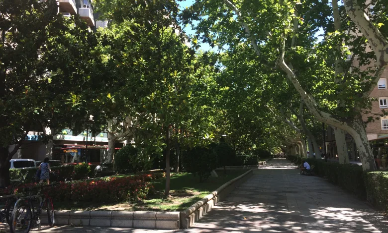 Reforma De Los Paseos María Agustín Pamplona Y Constitución Zaragozala Qué Hacer En Zaragoza
