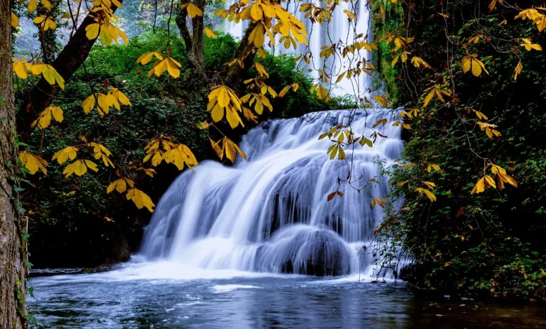 Monasterio de Piedra