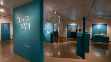 La Muestra Ccaxvii Atrae a Más De 36000 Visitantes En El Museo Del Teatro De Caesaraugusta Zaragozala   Qué Hacer En Zaragoza