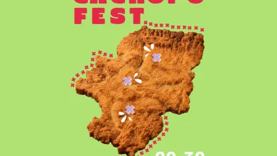 Aragón Cachopo Fest Aragón Cachopo Fest Llenará De Cachopos Aragón Zaragozala   Qué Hacer En Zaragoza