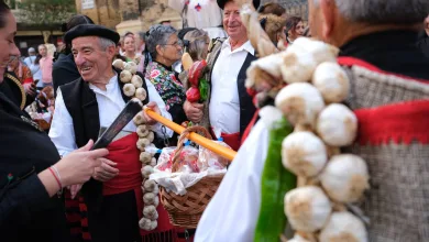 Ofrenda De Frutos Zaragoza Ofrenda De Frutos 2025 Zaragoza Horario Y Recorrido Zaragozala   Qué Hacer En Zaragoza