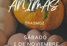 Luz De Las Ánimas Trasmoz 2025 Zaragoza   Qué Hacer En Zaragoza   Página 916 Zaragozala   Qué Hacer En Zaragoza