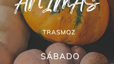 Luz De Las Ánimas Trasmoz 2025 Luz De Las Ánimas 2025 En Trasmoz Información Y Actividades Zaragozala   Qué Hacer En Zaragoza