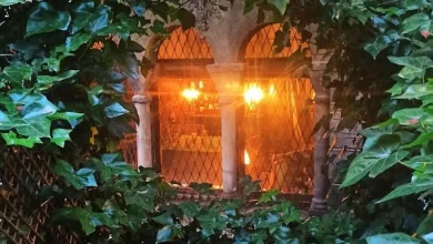 Visita Guiada Cultural a Casa Moneva En Zaragoza Zaragozala   Qué Hacer En Zaragoza