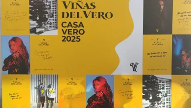 Casa Vero 2025 Casa Vero Da La Bienvenida Al Pilar 2025 Por Todo Lo Alto Zaragozala   Qué Hacer En Zaragoza