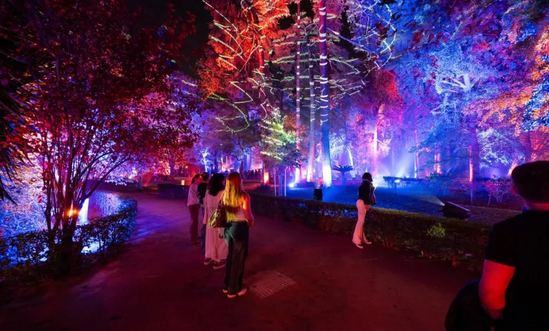 Boreal Naturaleza Encendida Zaragoza Navidad