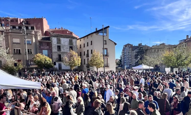  Brindis Multitudinario En Barbastro Por El Día Mundial Del Enoturismo Zaragozala   Qué Hacer En Zaragoza