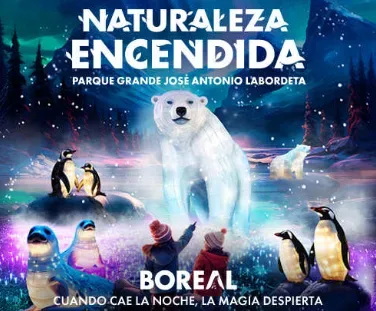 Naturaleza Encendida Boreal Zaragoza