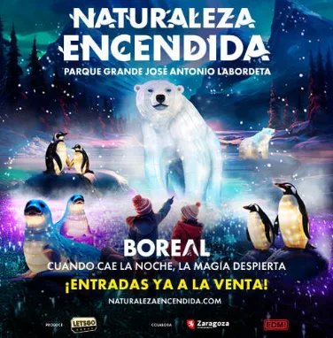 Naturaleza Encendida Boreal Zaragoza