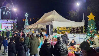 Mercadillo Navidad Ainsa