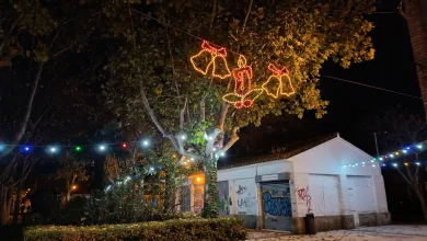 Iluminación Navideña en el Picarral