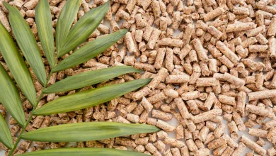 pellet aragón