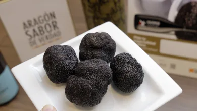 Descubre La Trufa 2026