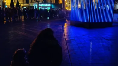 Consejos Zaragoza Luce