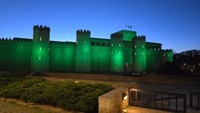 La Aljafería Se Ilumina De Verde Por El Día Mundial Del Trabajo Social En Zaragoza Zaragozala Qué Hacer En Zaragoza