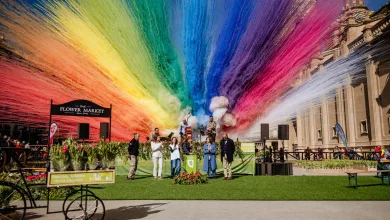 Jornada Solidaria En La Plaza Del Pilar Con Elmercado De Tulipanes Zaragozala Qué Hacer En Zaragoza