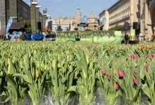  Zaragoza   Qué Hacer En Zaragoza   Página 1321 Zaragozala   Qué Hacer En Zaragoza