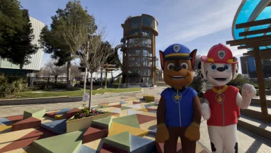 Zaragoza Qué Hacer En Zaragoza Zaragozala Qué Hacer En Zaragoza