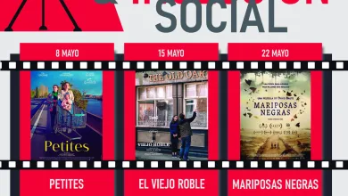 Cartel promocional del XIX ciclo de cine: Justicia e Inclusión Social, con fechas 8, 15 y 22 de mayo y carteles de películas destacadas al fondo.