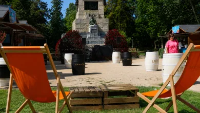 Park Scene with a Stone Monument Surrounded by Red Flowers Orange Lounge Chairs and a Wooden Pallet Seating Area in the Foreground Así Es La Placita El Nuevo Espacio De Zaragoza Florece 2026 Zaragozala   Qué Hacer En Zaragoza