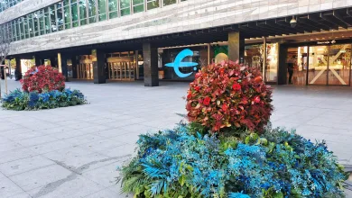 Urban Plaza in Front of a Modern Building with Glass Windows and a Blue Ibercaja Logo Colorful Flower Planters in the Foreground Zaragoza   Qué Hacer En Zaragoza Zaragozala   Qué Hacer En Zaragoza