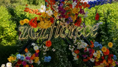 zaragoza florece 2026