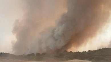 Massive Wildfire Smoke Plume Rising over a Rural Hillside with a Harvested Field in the Foreground Infoar Logo Top left and a Timestamp Bottom right monzón Gadex 03 Incendio De Tamarite De Litera Desalojos Y Máxima Alerta Zaragozala   Qué Hacer En Zaragoza