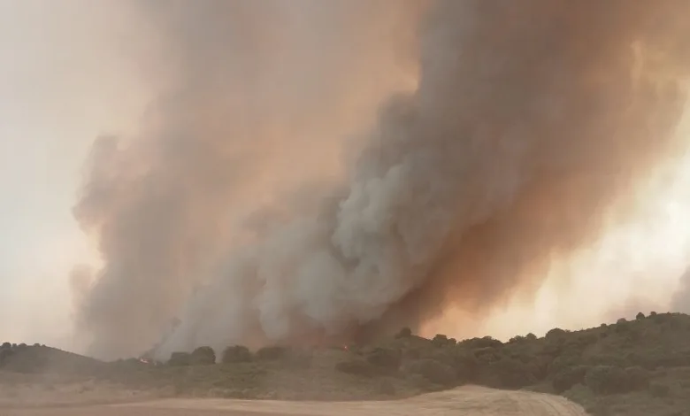 Massive Wildfire Smoke Plume Rising over a Rural Hillside with a Harvested Field in the Foreground Infoar Logo Top left and a Timestamp Bottom right monzón Gadex 03 Incendio De Tamarite De Litera Desalojos Y Máxima Alerta Zaragozala   Qué Hacer En Zaragoza