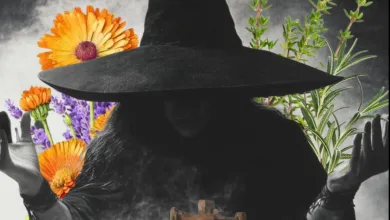 Feria Brujeria Trasmoz 2026 Feria De Brujería De Trasmoz 2026 Programa Y Horarios Zaragozala   Qué Hacer En Zaragoza