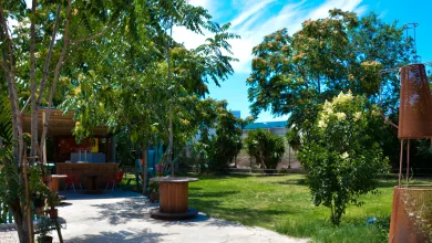Sunny Outdoor Garden with Tall Trees a Paved Path a Wooden Spool Table and a Rust Sculpture on the Lawn to the Right Under a Blue Sky El Público a Escena Se Traslada Al Espacio Cirteani En Julio Zaragozala   Qué Hacer En Zaragoza