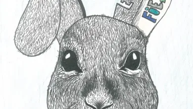 Whimsical Black and white Drawing of a Rabbit on a Poster with the Text del 9 Al 14 De Junio 2026 june 914 2026 and Colorful Accents Indicating a Festival or Event Zaragozala | Agenda Cultural Ocio Y Planes En Zaragoza Zaragozala   Qué Hacer En Zaragoza