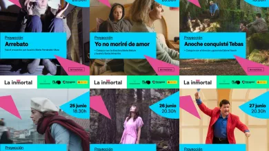 Collage of La Immortal Festival Posters with Cyan Title Cards and Pink Geometric Shapes Showing Film Titles and June Dates La Inmortal Zaragoza 2026 Programación Completa Zaragozala   Qué Hacer En Zaragoza