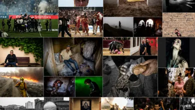 Collage of Diverse People and Scenessports Work Art and Everyday Life Zaragozala | Agenda Cultural Ocio Y Planes En Zaragoza Zaragozala   Qué Hacer En Zaragoza