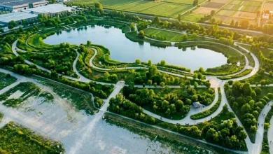 Aerial View of a Circular Park with Winding Paths Around a Central Lake Seen from Above El Parque Lineal De Plaza Se Transformará En Un Bosque Zaragozala   Qué Hacer En Zaragoza