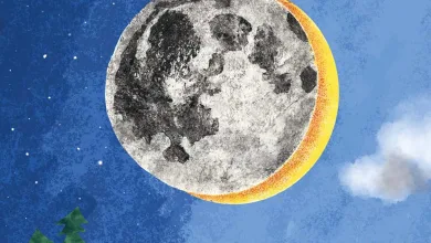 Poster for a Childrens Science Book Title Reads eclipse with Subtitle un Escondite Cósmico and a Stylized Moon Eclipsing Behind a Blue Sky with Hills Trees and Colorful Buildings in the Foreground Caption at Bottom un Viaje Lúdico a Los Secretos Del Cosmos Zaragozala | Agenda Cultural Ocio Y Planes En Zaragoza Zaragozala   Qué Hacer En Zaragoza