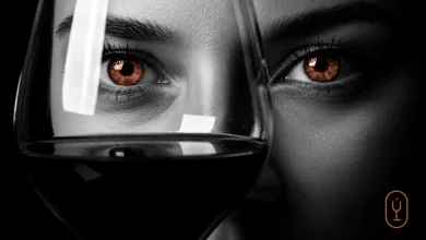 Close up of a Person Looking Through a Wine Glass Brown Eyes Visible in a Black and white Photo Suggesting Wine Tasting or a Podcast El Sumiller Eres Tú En El Festival Del Vino Somontano 2026 Zaragozala Qué Hacer En Zaragoza