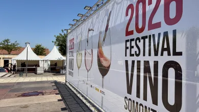 Festival Vino Somontano 2026 Festival Vino Somontano 2026 Arranca Con Vendimia Adelantada Zaragozala Qué Hacer En Zaragoza