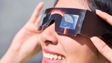 Gafas Eclipse Zaragoza Zaragozala | Agenda Cultural Ocio Y Planes En Zaragoza Zaragozala   Qué Hacer En Zaragoza