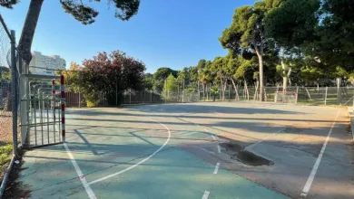 Outdoor Sports Court with Green Surface White Lines a Chain link Fence and Tall Trees Under a Bright Blue Sky Nuevas Pistas Deportivas En Dos Parques De Zaragoza Zaragozala Qué Hacer En Zaragoza