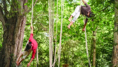 Two People Swing on Tall Ropes Tied to Trees in a Leafy Outdoor Park Sonna Huesca Circo Y Jazz Del 21 Al 23 De Agosto Zaragozala   Qué Hacer En Zaragoza
