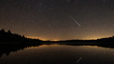 Perseidas En Aragon Perseidas 2026 Cuándo Y Cómo Ver La Lluvia De Estrellas Zaragozala Qué Hacer En Zaragoza