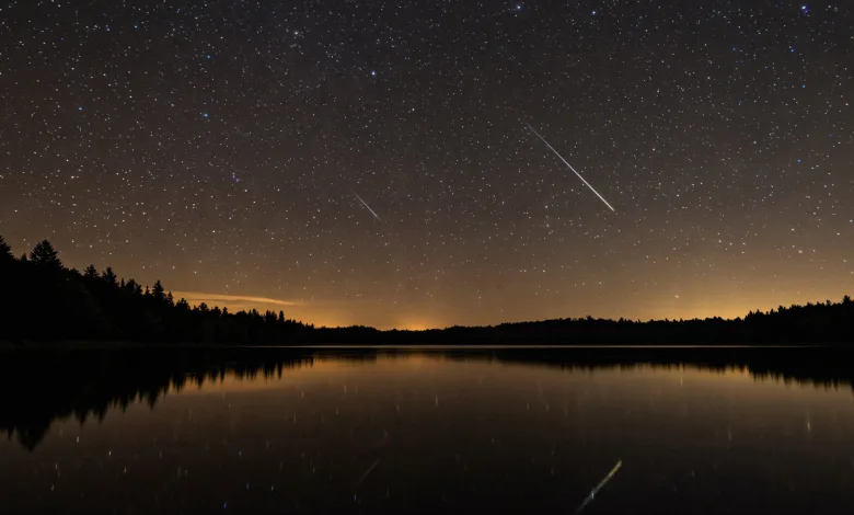 Perseidas En Aragon Zaragozala | Agenda Cultural Ocio Y Planes En Zaragoza Página 1439 Zaragozala Qué Hacer En Zaragoza