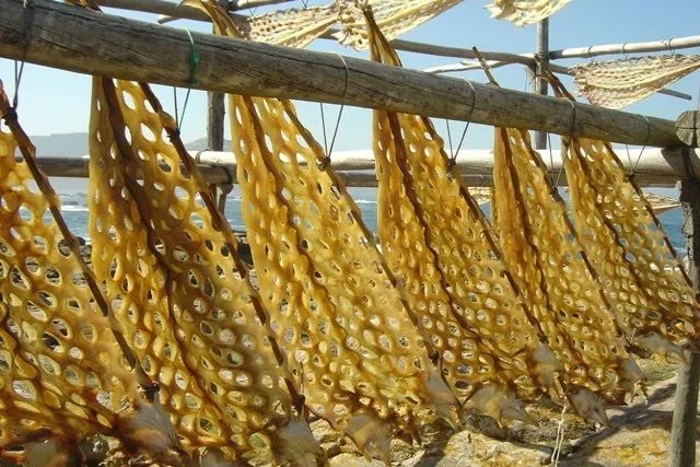 Congrio Calatayud Congrio De Calatayud Una Tradición De Más De 500 Años Zaragozala Qué Hacer En Zaragoza