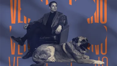 Promotional Concert Poster Showing a Man Seated on a Chair with Two Dogs Overlaid by Tall Orange Vertical Lettering on a Blue Background Date at Bottom 22 De Agosto Zaragozala | Agenda Cultural Ocio Y Planes En Zaragoza Zaragozala   Qué Hacer En Zaragoza