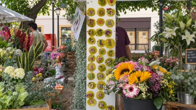 Jardin Del Gancho Zaragoza