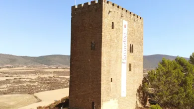 Torreón De Navardún